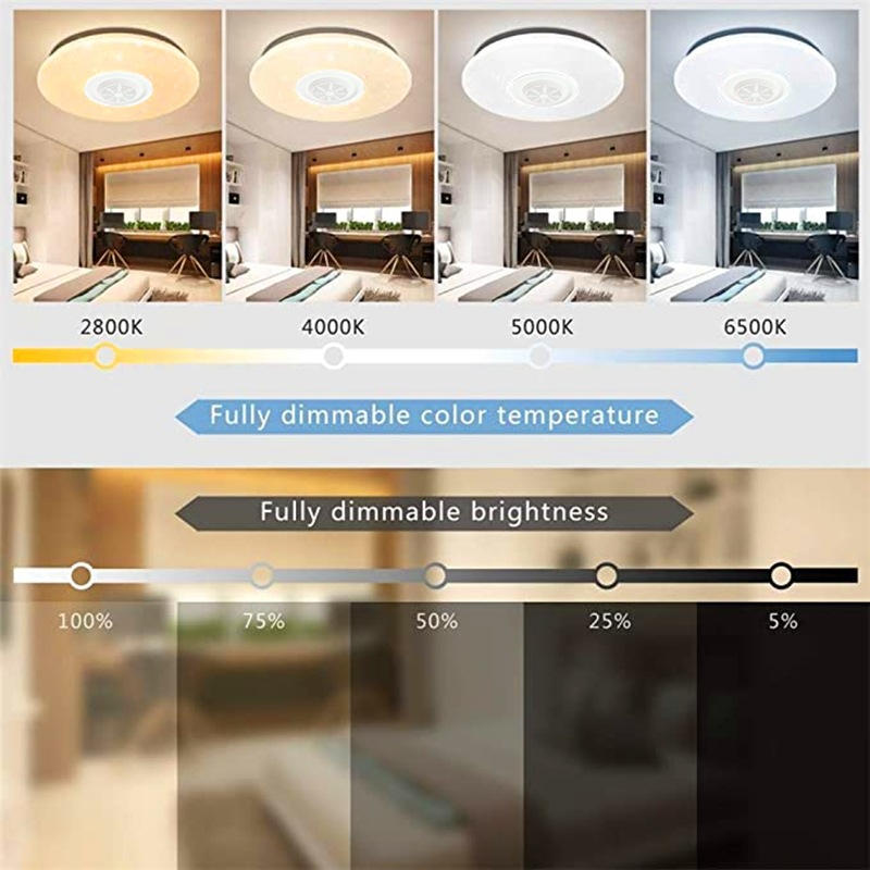 WiFi RGB Ceiling Light with Loudspeaker