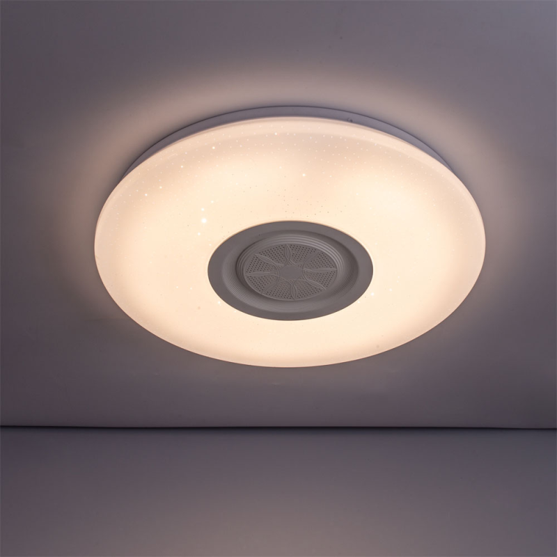 WiFi RGB Ceiling Light with Loudspeaker