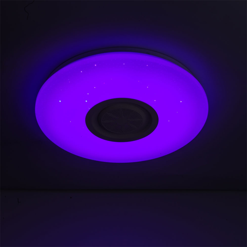 WiFi RGB Ceiling Light with Loudspeaker