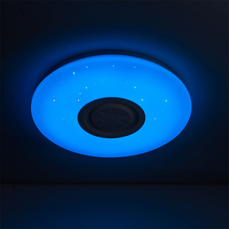 WiFi RGB Ceiling Light with Loudspeaker