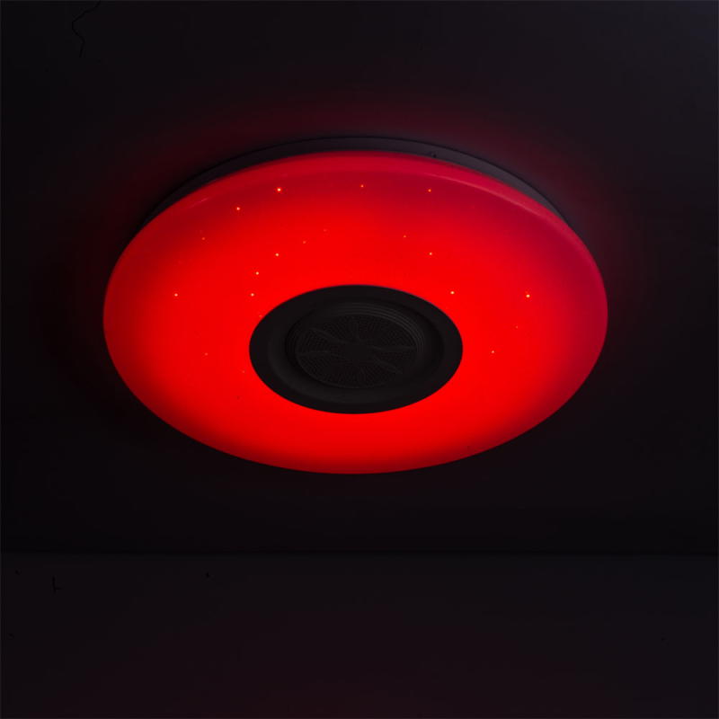 WiFi RGB Ceiling Light with Loudspeaker