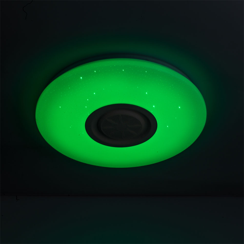 WiFi RGB Ceiling Light with Loudspeaker