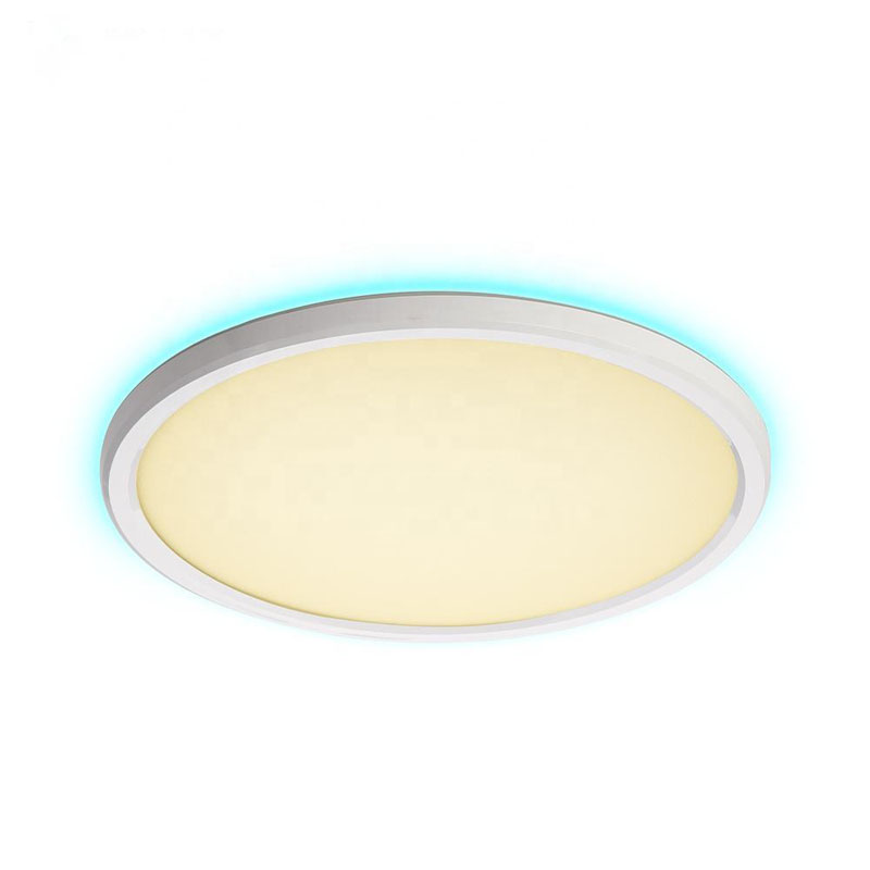 WiFi RGB Ceiling Light