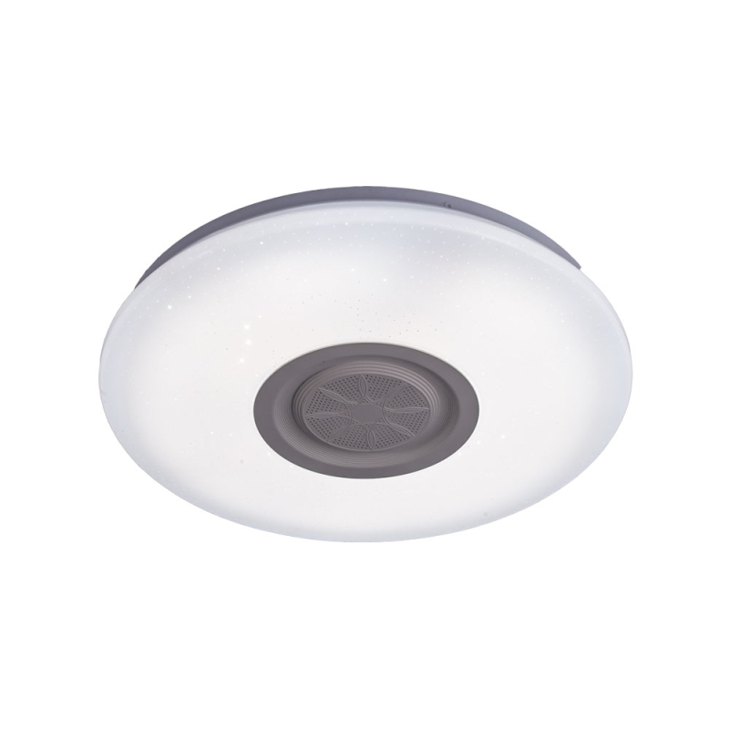 WiFi RGB Ceiling Light with Loudspeaker