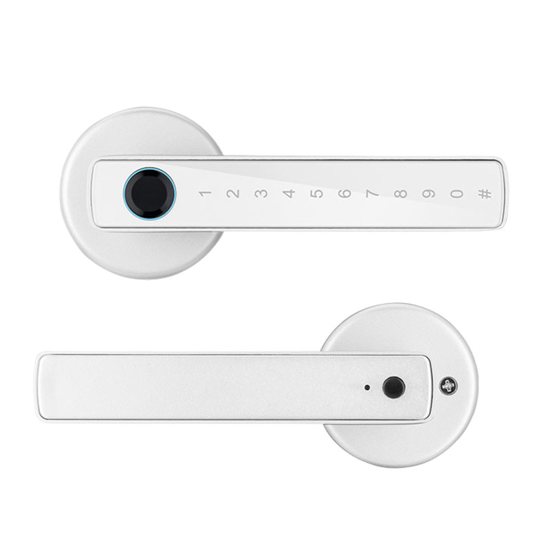 Bluetooth Fingerprint Door Lock